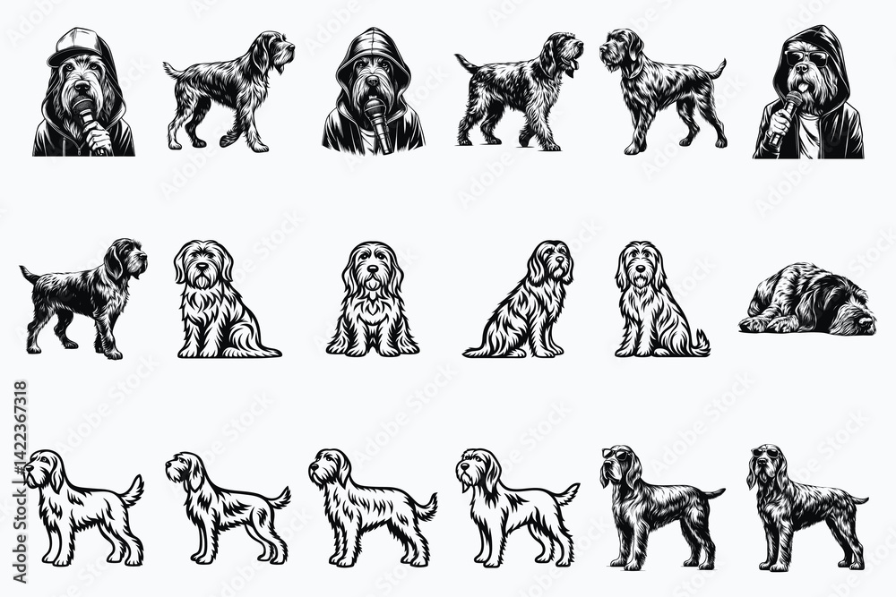 Fototapeta premium Spinone Italiano SVG Bundle
