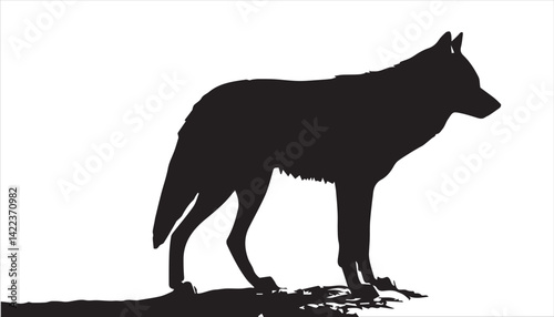 A black wolf silhouette
