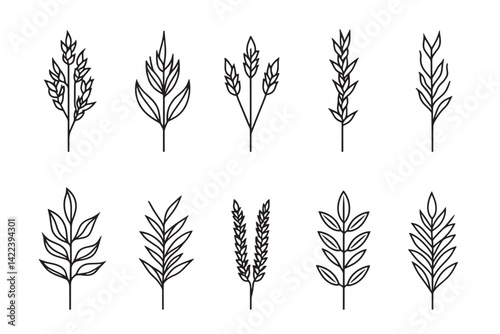 Farro Icon Modern Line Art