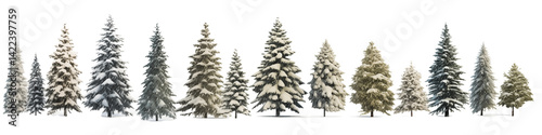 A row of snowy christmas trees against a transparent background in a winter landscape scene image png