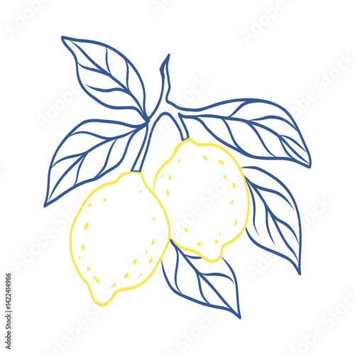 A drawing of two lemons on a leaf. The lemons are yellow and the leaf is blue