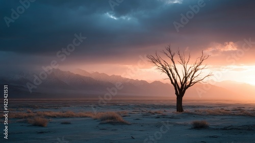 Lone Desert Tree: Serene Sunset Landscape Photography