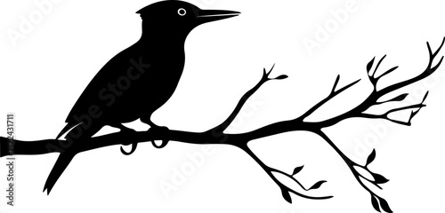 Stylized Illustration of a Woodpecker on a Branch photo