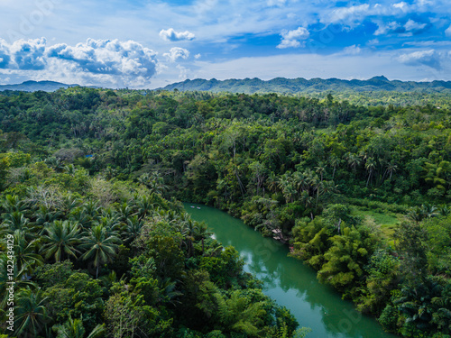 Loboc River with palm trees in Bohol island, Philippines. Aerial drone view of river popular for river cruises  photo