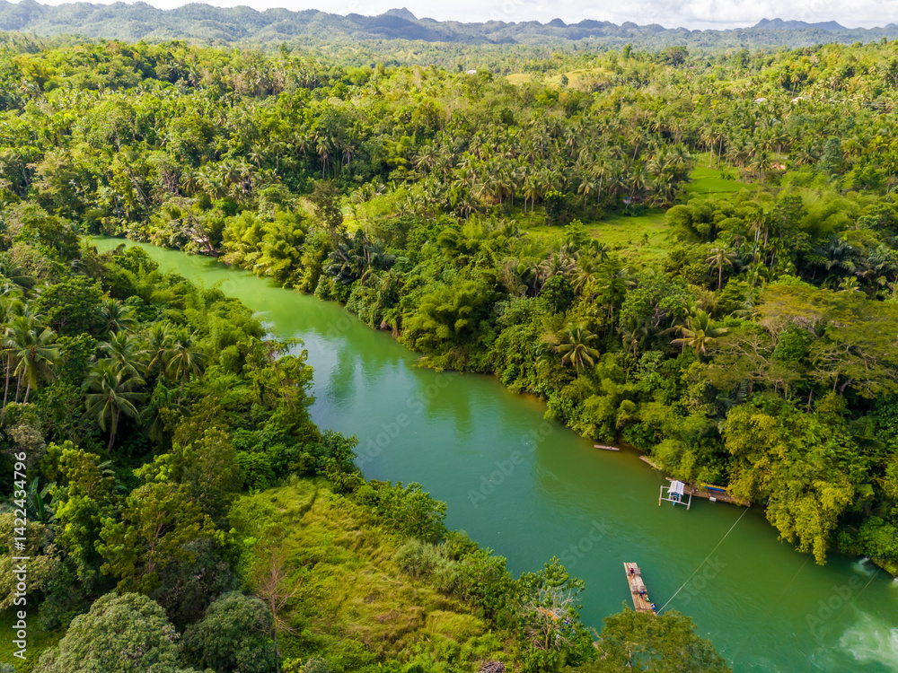 Loboc River with palm trees in Bohol island, Philippines. Aerial drone view of river popular for river cruises Loboc River with palm trees in Bohol island, Philippines. Aerial drone view of river popular for river cruises