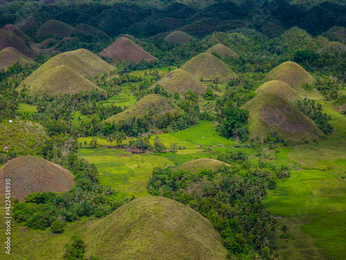 Aerial drone view of Chocolate hills in Bohol island, Philippines. Panoramic view of geological formation of green and brown hills