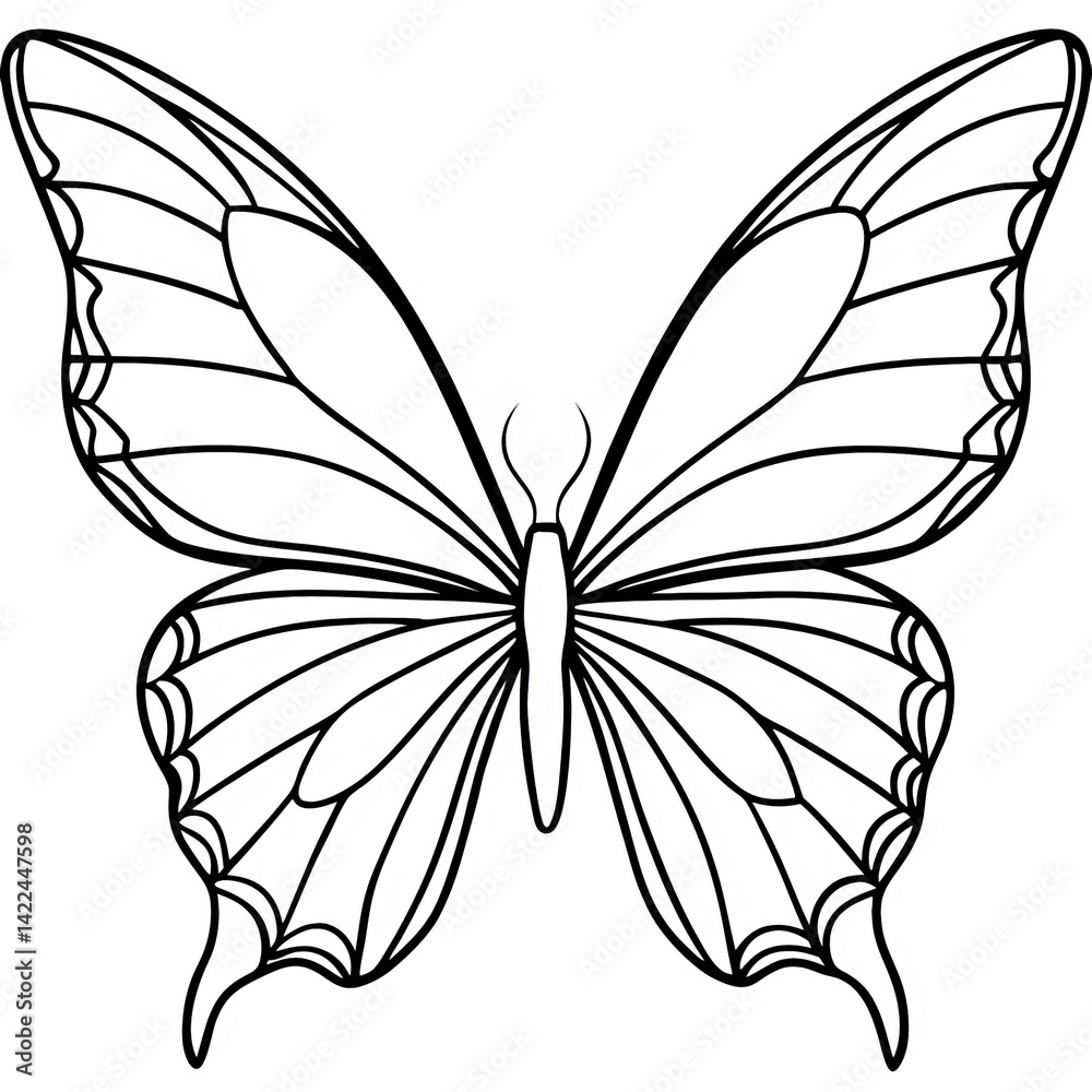 Fototapeta premium black and white butterfly line art 