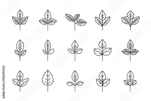Mint Leaf Clean Outline Art Symbol