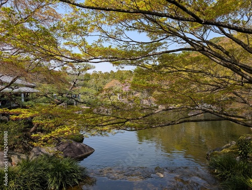 autumn in the park