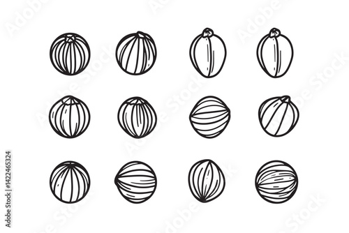 Nutmeg Design Simple Line Art