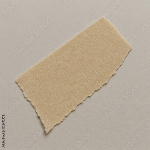 Textured Beige Paper Detail Showcasing a Torn Edge on a Smooth Background