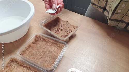 Person plants waters, sprays the seeds of micro greens in jute mat in the plastic container. Hobby