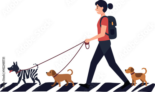 Woman walking three dogs on leash with backpack urban crossing vector illustration 