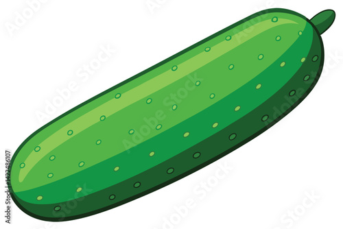 green cucumber isolated vector  on white