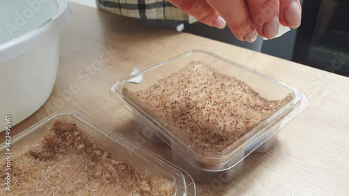 Person plants waters, sprays the seeds of micro greens in jute mat in the plastic container. Hobby
