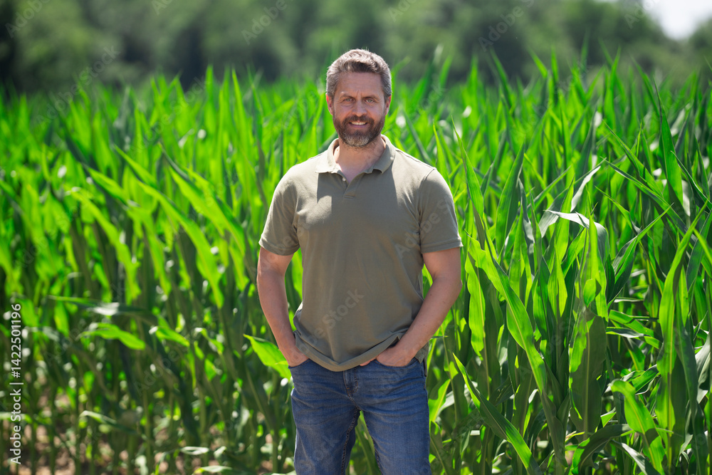 Fototapeta premium A farmer is on the corn field on farm. The farmer is working on corn farm. Portrait of a male farmer in corn farm. Agricultural worker, farmer. Corncob harvest. Man on rural field.