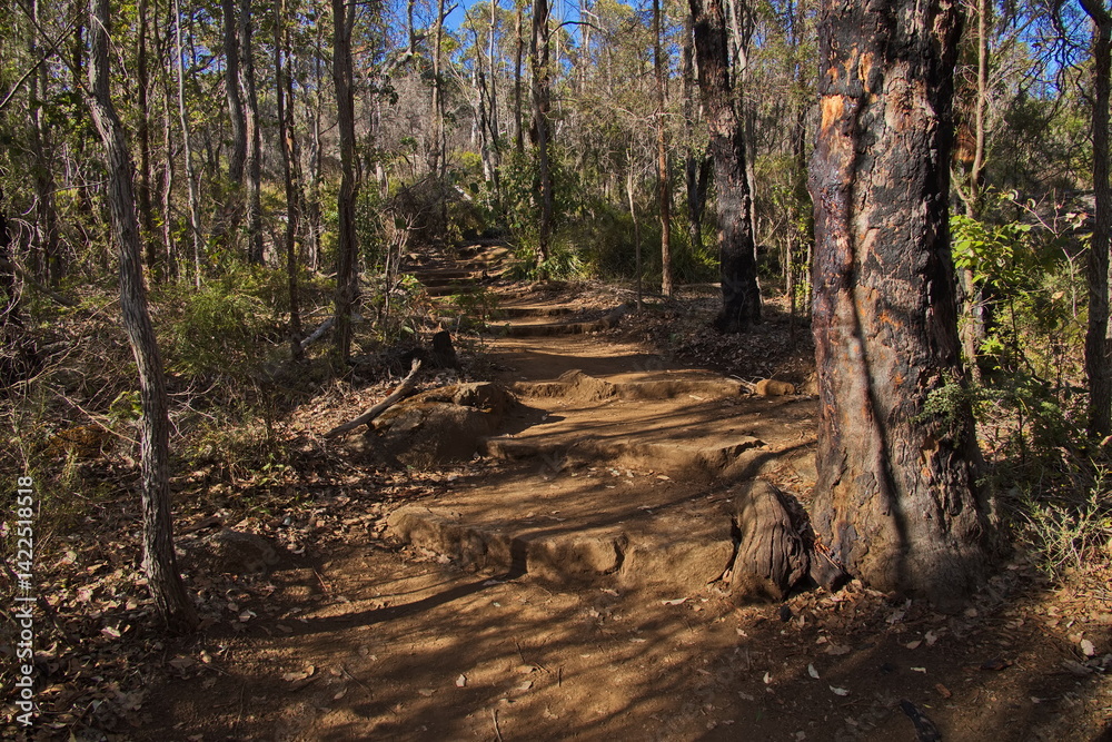 Obraz premium Hiking track to Granite Skywalk in Porongurup National Park in Western Australia, Australia 