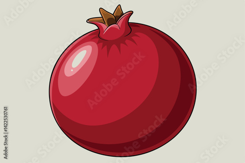 pomegranate fruit vector illustration .