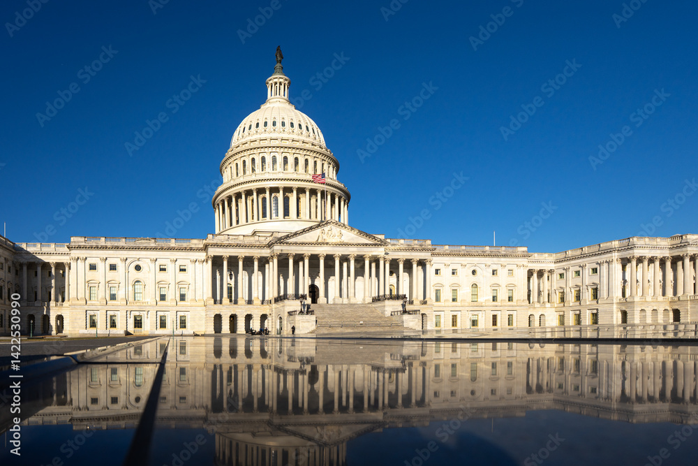 Fototapeta premium Capitol in Washington, DC. The state capitol buildings in Washington, DC. The Congress in Washington, DC. American flag waving. The Capitol Hill in Washington, DC.