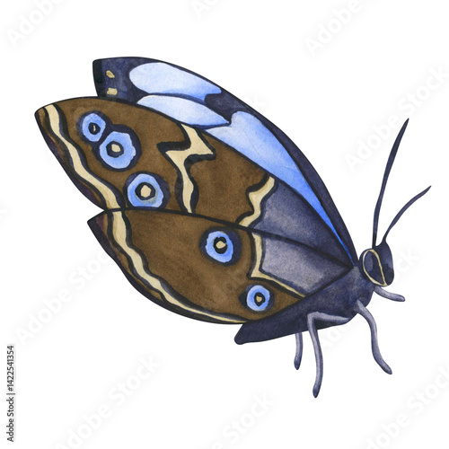 Watercolor Blue Butterfly isolated on transparent background. Hand draw Watercolor illustration Blue Morpho Butterfly. png Blue tropical butterflies for wedding invitation, and card