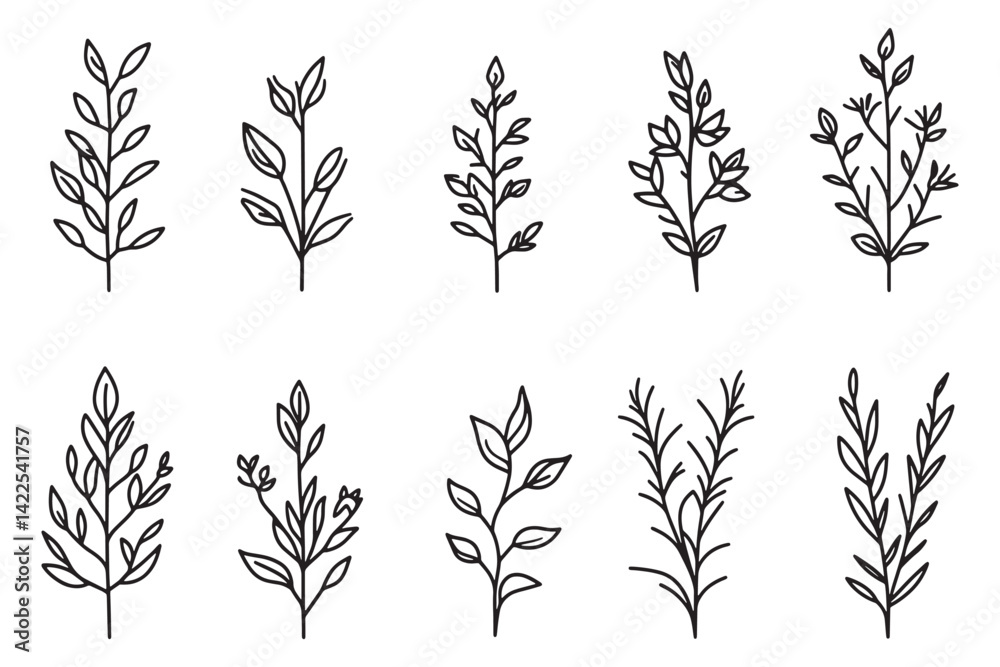 Fototapeta premium Tarragon minimalist 2D line art design