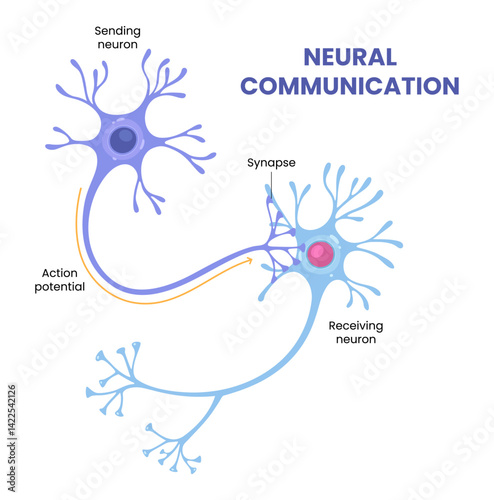 Vector illustration of neural communication and synaptic connections 