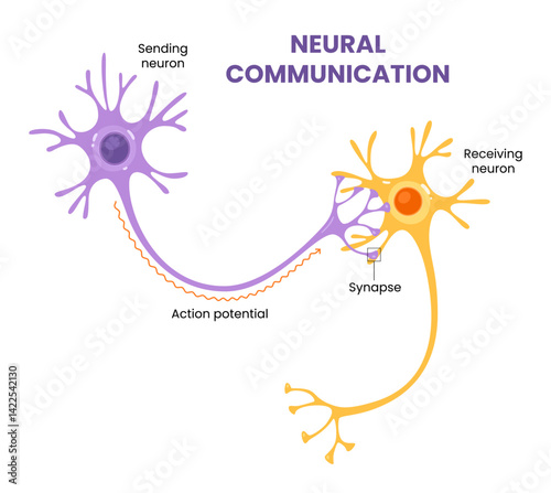 Vector illustration of neural communication and synaptic connections 