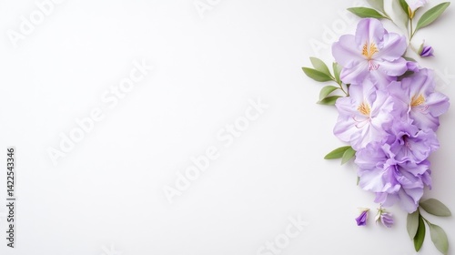 Delicate purple flowers arranged in a corner on a white background, showcasing soft petals and green leaves, and minimalist floral composition.