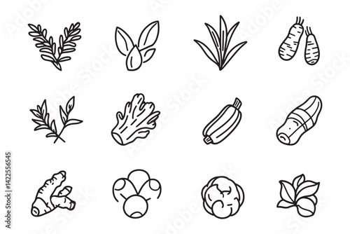 Turmeric ultra minimalist line art