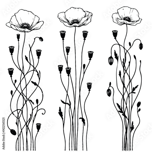 Hand drawn wild flowers Botanical drawing, line art poppies border  illustration. Black and White vintage frieze Meadow poppy stems. Simple Stylized blooming plants. Set of outline ornament floral