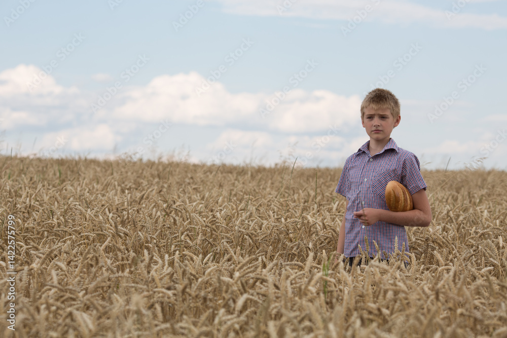 Boy in a wheat field with white bread in his hands Boy in a wheat field with white bread in his hands