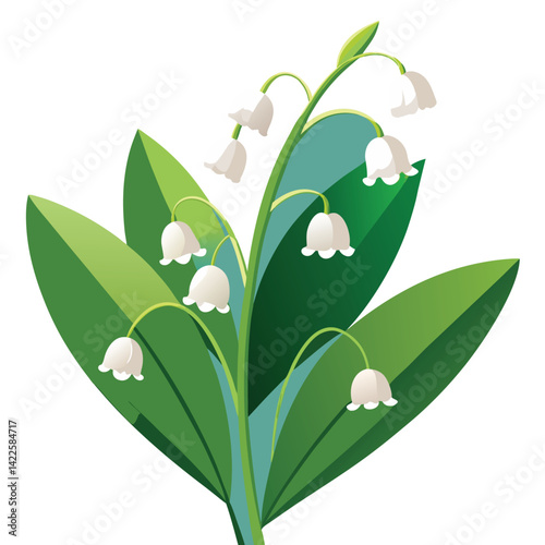 lilies of the valley