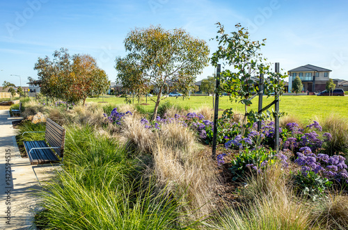 A beautifully landscaped garden area featuring native ornamental grasses, drought-tolerant flowering plants, and young trees along a paved pathway with park benches in a suburban area of Australia.