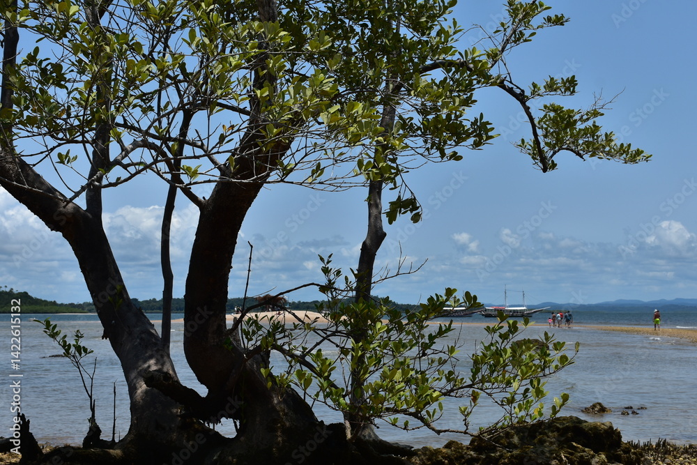 barra grande