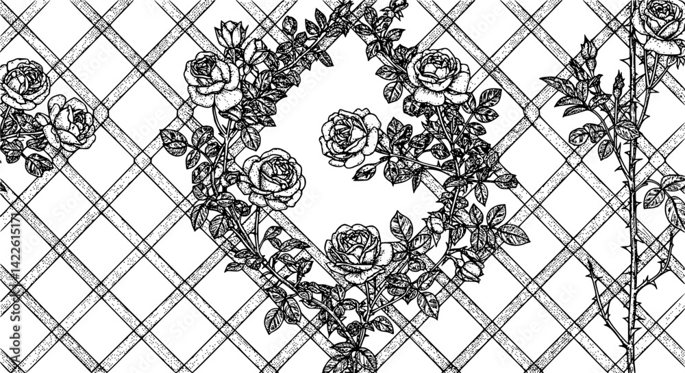 Hand drawn vector sketch of roses and trellis design featuring intricate floral patterns
