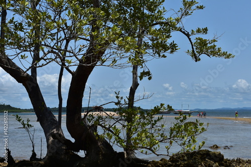 Obraz na płótnie barra grande w salonie