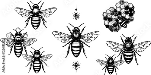 Detailed hand-drawn vector illustration sketch of bees exploring honeycomb structures in a natural setting
