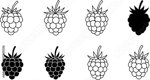 Modern outline icon of a juicy blackberry, a healthy food for eating, featuring a black dewberry, mulberry, isolated bramble fruit with a thin line
