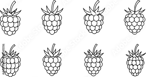Modern outline icon of a juicy blackberry, a healthy food for eating, featuring a black dewberry, mulberry, isolated bramble fruit with a thin line
