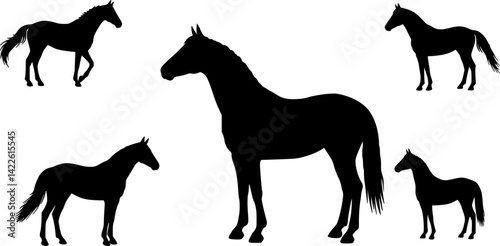 A beautiful warmblood horse is posed in profile, set against a modern isolated silhouette

