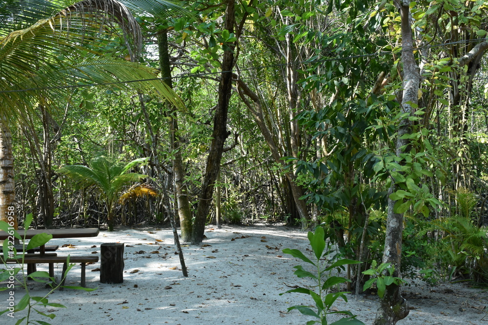 barra grande