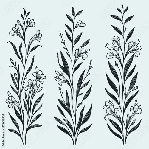 Set of outline herbs, Meadow leaves, doodle floral. Hand drawn wild flowers Botanical drawing. Detailed line art Delphinium illustration. Simple Stylized wildflowers. Black and White stems
