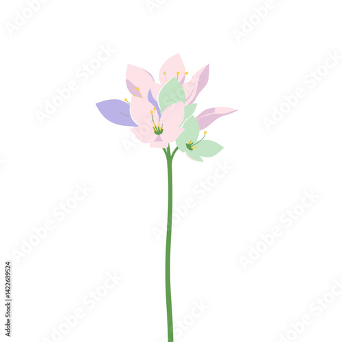 Pastel Tri-toned Flower Blossom on Single Stem