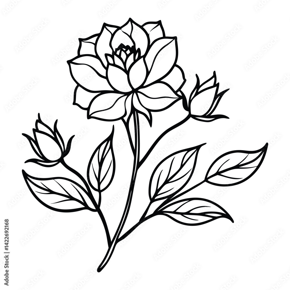 Sketch Floral Botany Collection. flower drawings Sketch Floral Botany Collection. flower drawings