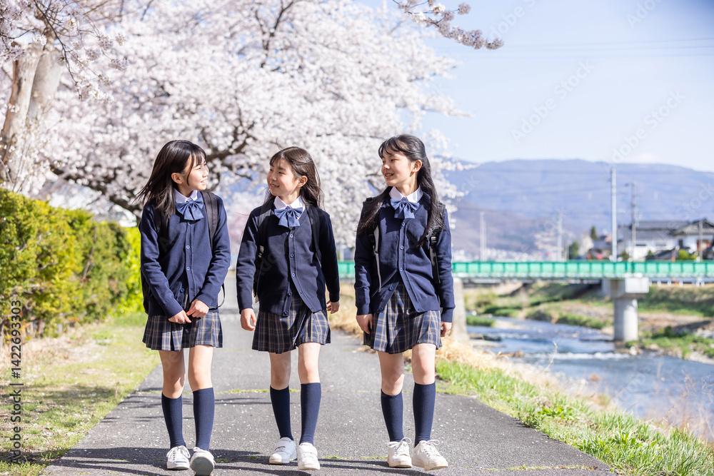 桜並木を歩く学生