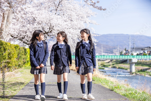 Obraz na płótnie 桜並木を歩く学生 w salonie