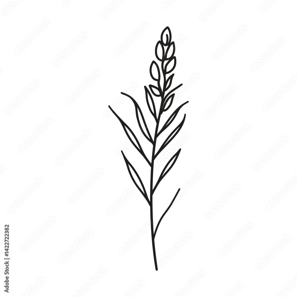 Single Black Line Drawing Branch with Leaves on Transparent Background Single Black Line Drawing Branch with Leaves on Transparent Background