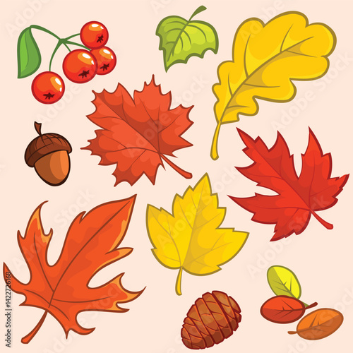 Autumnal bounty A vibrant collection of fall leaves berries cone and acorn