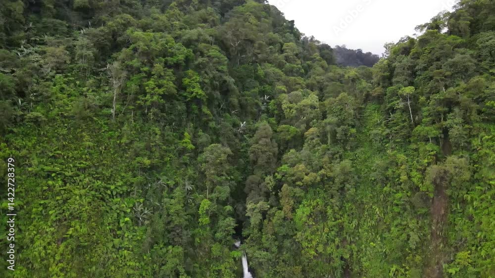 Aerial view of a majestic tall waterfall falling from a cliff in the middle of the forest Aerial view of a majestic tall waterfall falling from a cliff in the middle of the forest