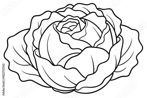 Cabbage enhances dishes with flavor and texture